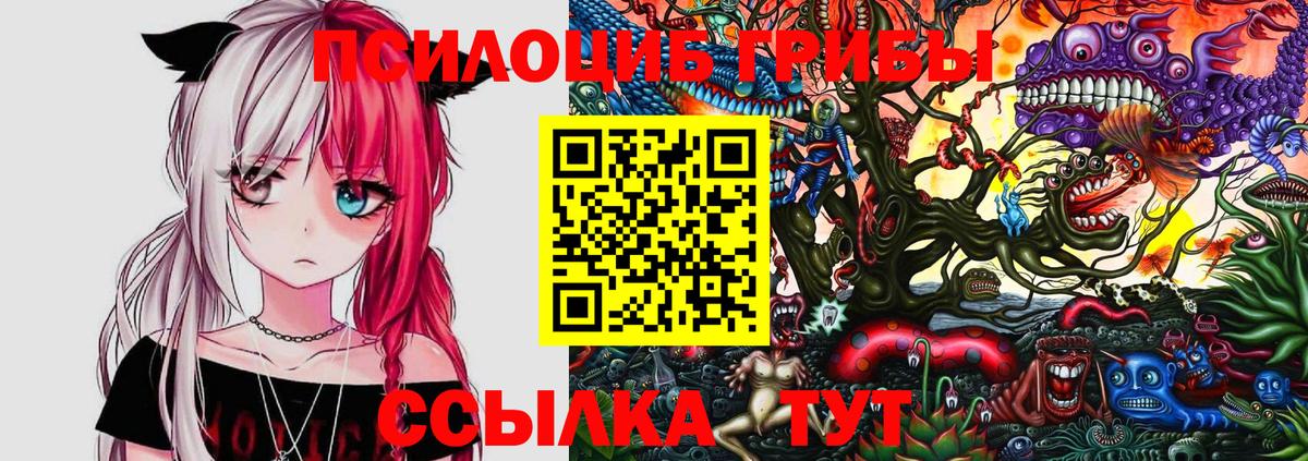 Псилоцибиновые грибы мухоморы Богородицк
