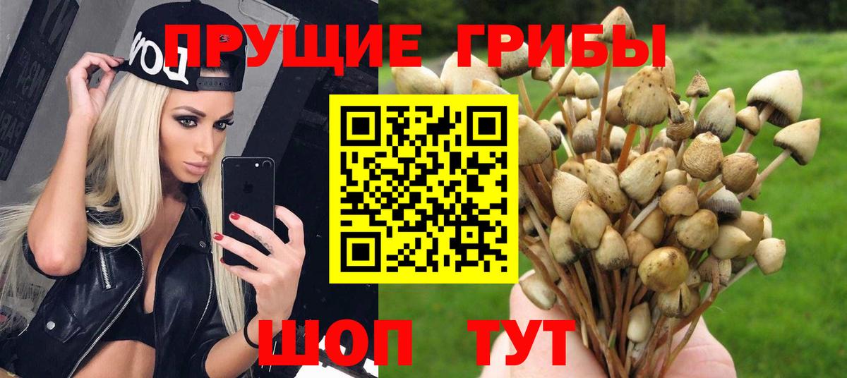 купить наркотики сайты  Вход с VPN  Богородицк  Псилоцибиновые грибы Cubensis 
